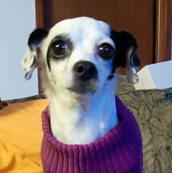 Meet your Posher, Monica - Picture 1 of 1